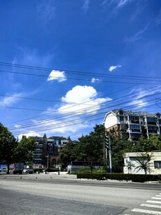 城市街道旁的建筑与蓝天