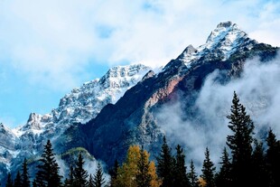 雪山森林间的壮美风光