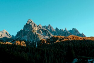 壮丽山景 阳光洒照山林