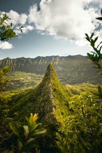 山间绿野美景