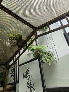 中式庭院绿植与书法景致