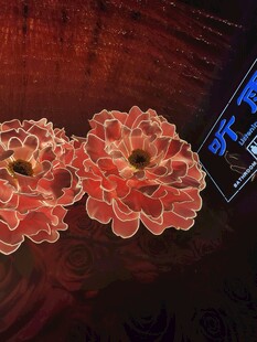 娇艳绽放的两朵红色花朵