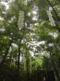 林间悬挂的白色风铃