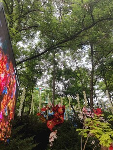 森林中的多彩装饰景观