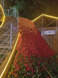夜间浪漫玫瑰装饰过山车轨道