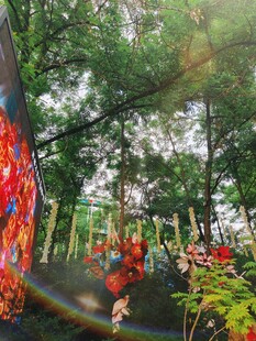 森林中的多彩装饰景观