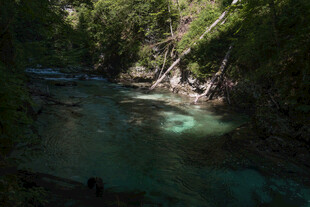 山间清澈溪流美景