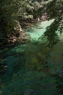 山间清澈溪流美景