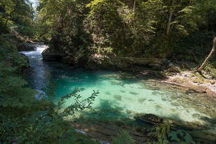 山间清澈溪流的自然美景