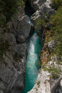 峡谷中流淌的碧绿河水