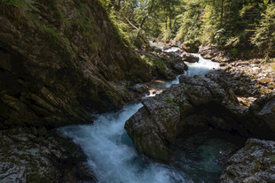 山间溪流穿岩石而过