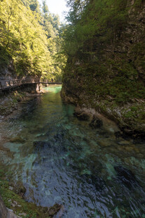 山间清澈溪流美景
