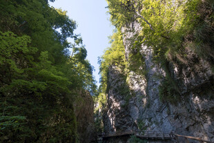 峡谷间绿意盎然的自然景致