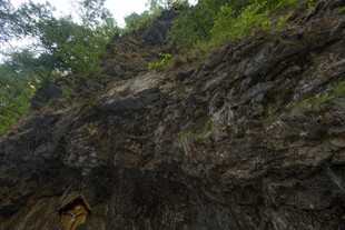山间岩石与绿植景观