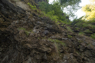 山间峭壁绿植覆盖景象