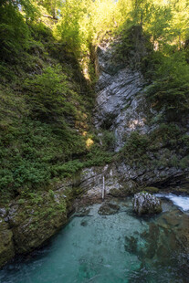 山间幽潭 绿意环绕的美景