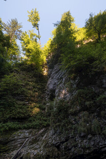 山林间的阳光洒落美景