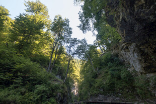 山间峡谷绿意盎然的景致