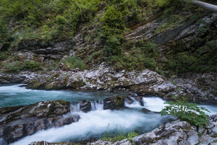 山间溪流潺潺美景