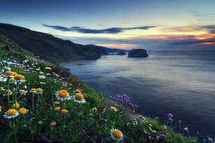 海边花海日落美景