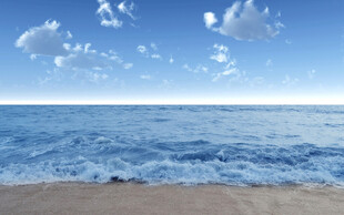 大海