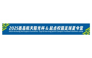 夏令营2025技术研讨会横幅