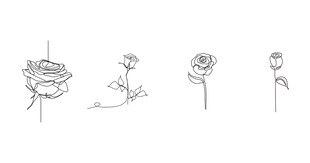 玫瑰花卉连续线条艺术线稿png
