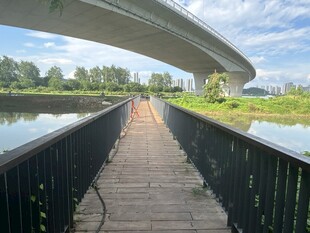河畔木栈道与高架桥美景