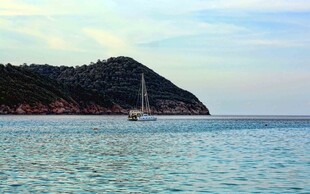 海上孤帆伴青山