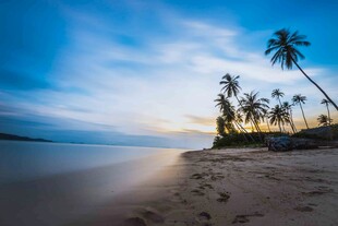 美丽海滩上的椰树日落