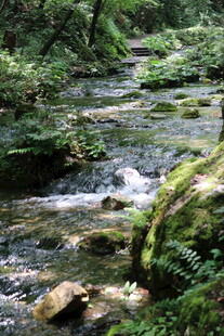 山间溪流 
