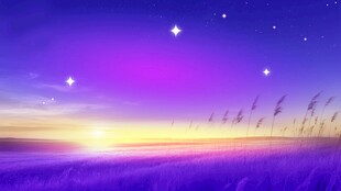 梦幻紫色星空下的原野