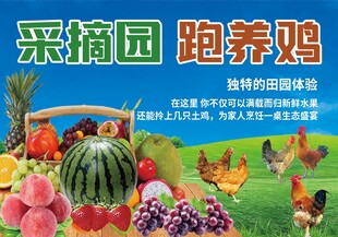 采摘园