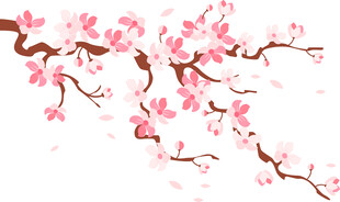 粉色樱花枝唯美浪漫风