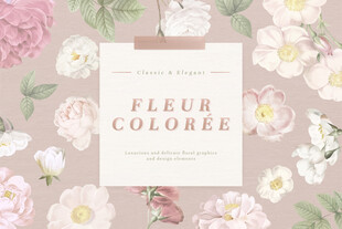 花卉FLEUR COLOREE