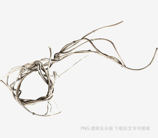 缠绕的枯藤