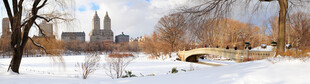 冬日雪景中的开阔景致