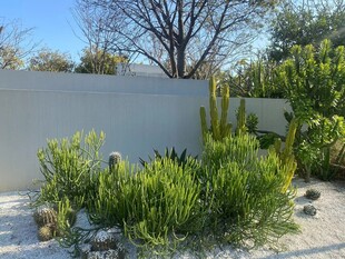 现代简约风庭院绿植景观