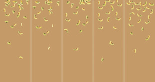 金色银杏飘落背景图
