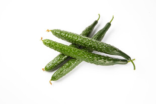 新鲜黄瓜