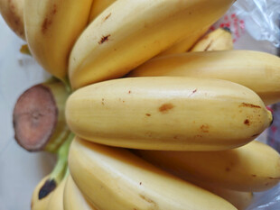 新鲜饱满的黄色香蕉