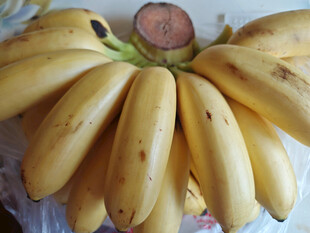 新鲜成串黄香蕉