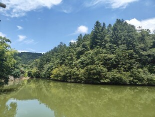 青山绿水间的宁静湖泊