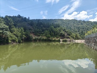 青山环绕的宁静绿水湖