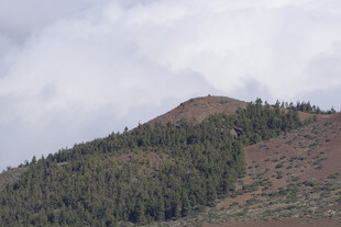山峦覆林 云雾缭绕之景