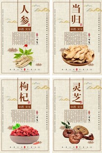 中国风中药药品展板