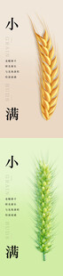 小满节气海报