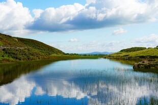 宁静湖畔风光