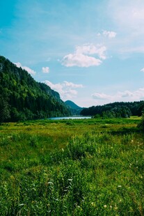绿野青山间的自然美景