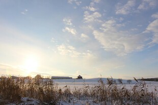 冬日雪野日出美景
